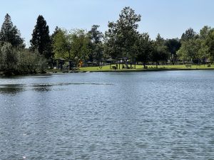 Yorba Regional Park